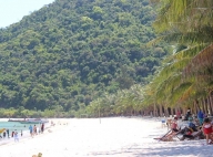 Tour Cù lao chàm 2 ngày 1 đêm