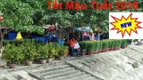 Tour Cù Lao Chàm giá rẻ Tết 2018