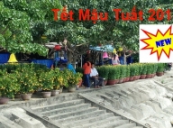 Tour Cù Lao Chàm giá rẻ Tết 2018