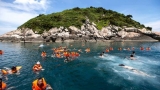 Tour du lịch đi Cù Lao Chàm với lịch trình hấp dẫn nhất